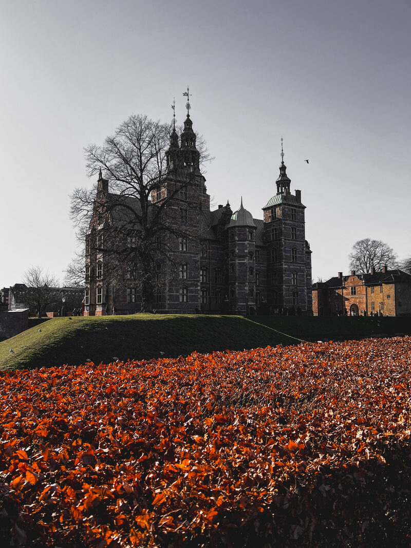 Rosenborg Castle above a field of autumn crocuses, King's Garden