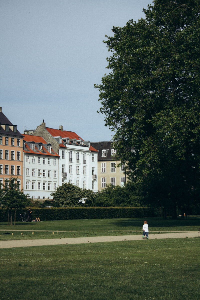 Open lawns and townhouses in King's Garden, Copenhagen