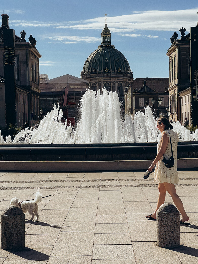 The Amalienborg fountain and the Marble Church dome, with a woman walking her dog