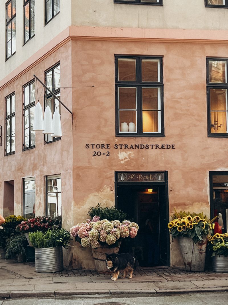 The Store Strandstræde corner shop with flowers, by Nyhavn