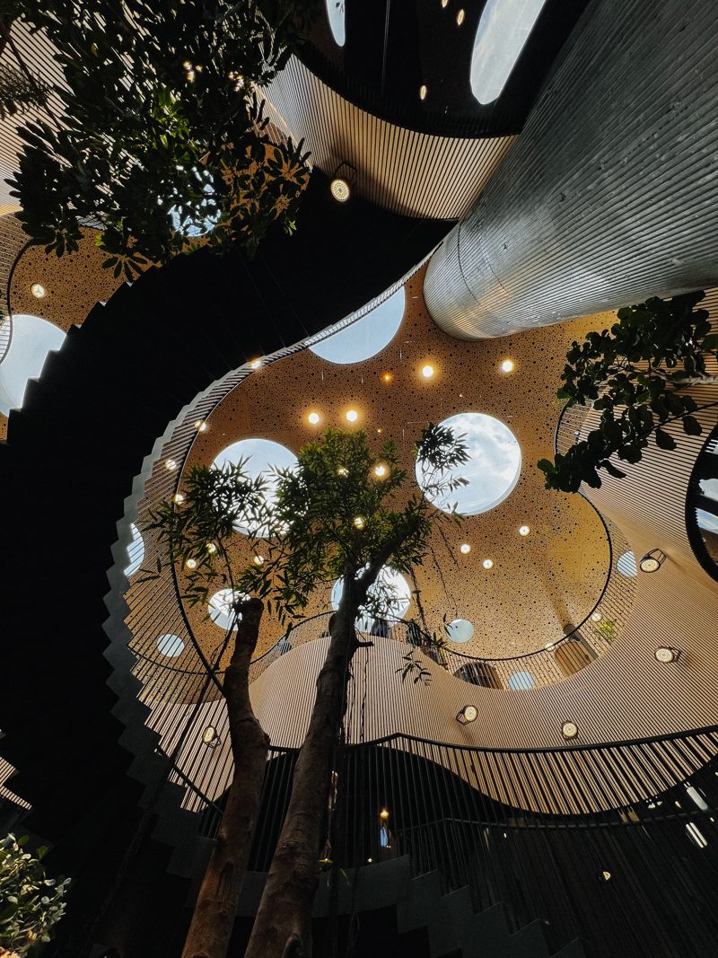 Trees and light inside the Opera Park greenhouse