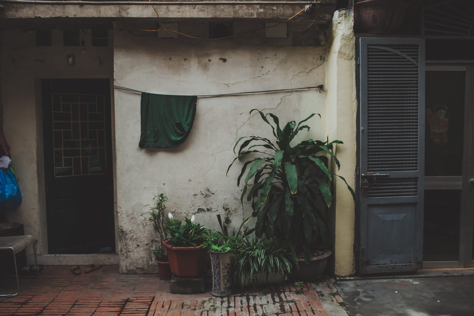 Old courtyard with plants, Vietnam