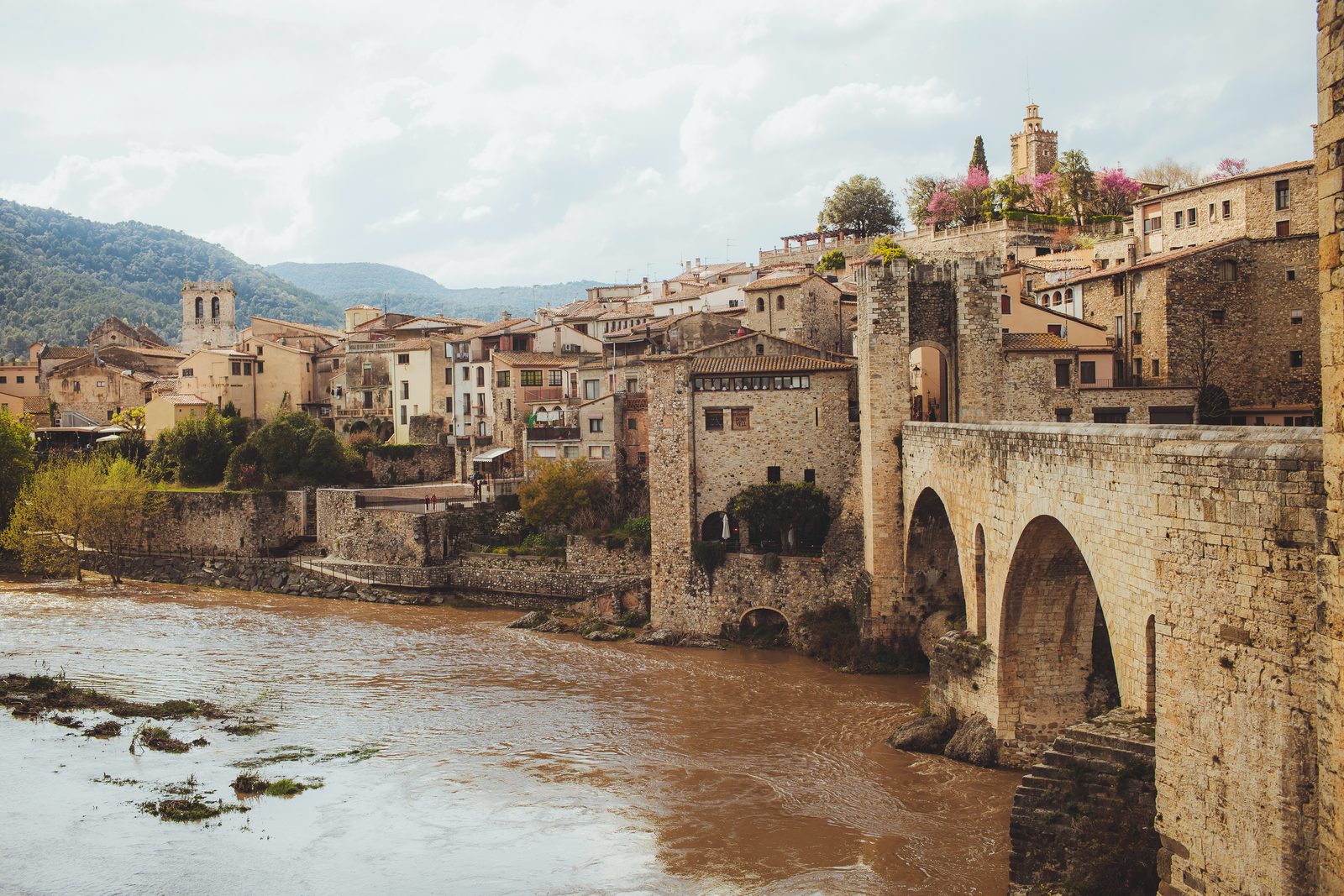 Medieval bridge and old town, Besalu, Spain