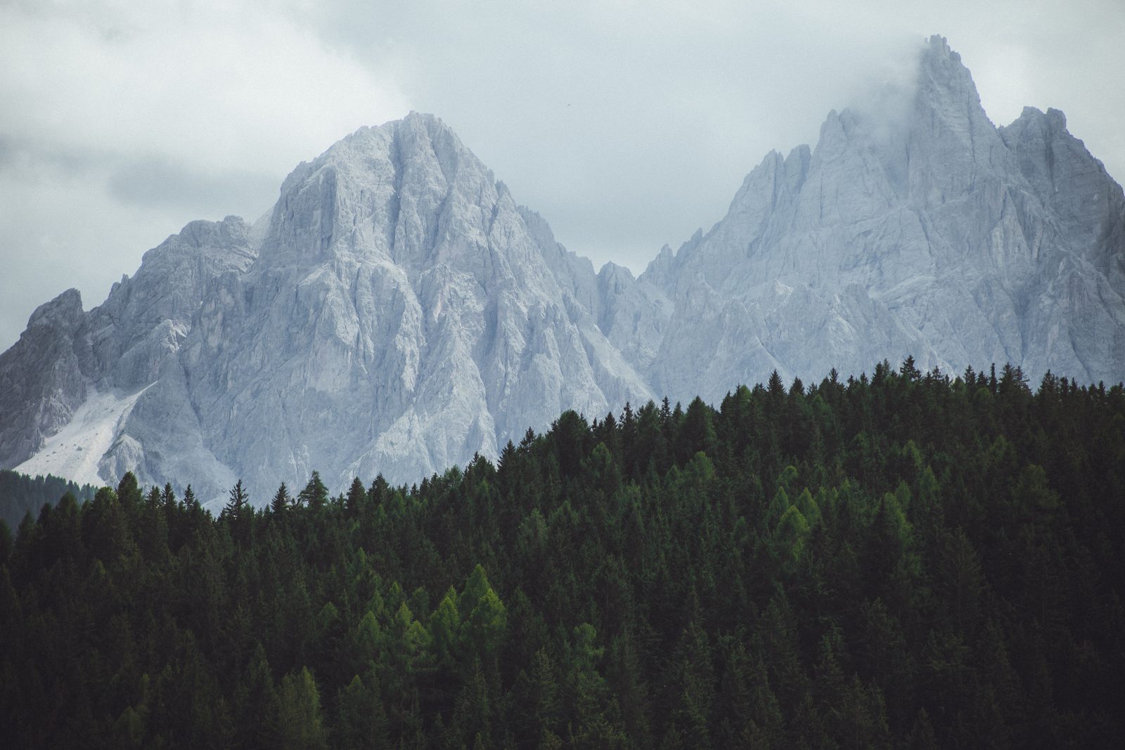 Mountain peaks above a pine forest, Austria