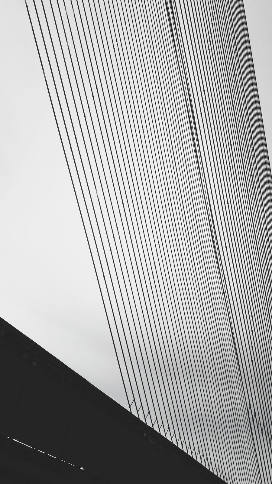 Bridge cables, Kyiv, Ukraine